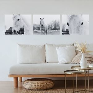 Set of 3 - Photographic Prints